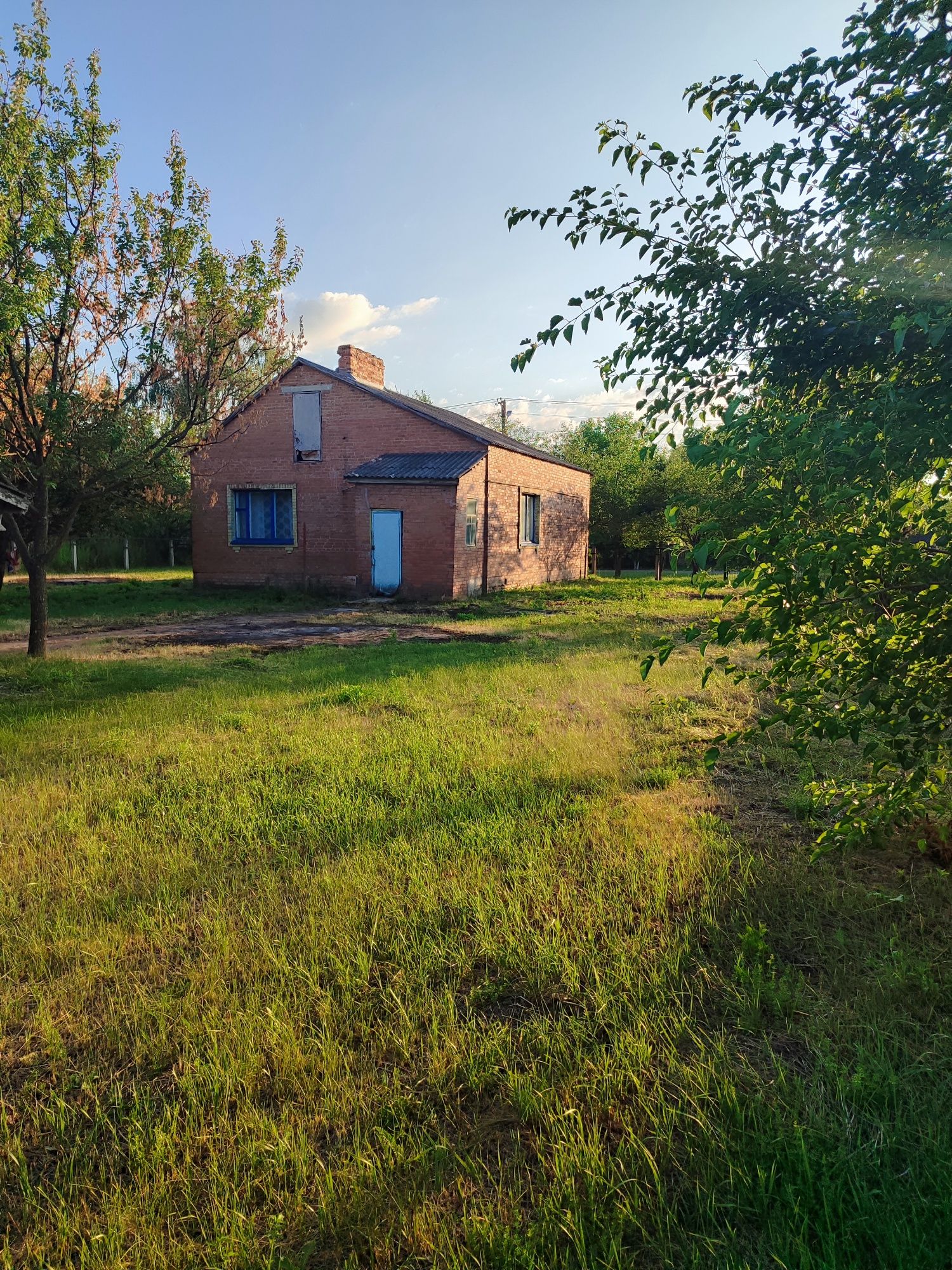 Image 4