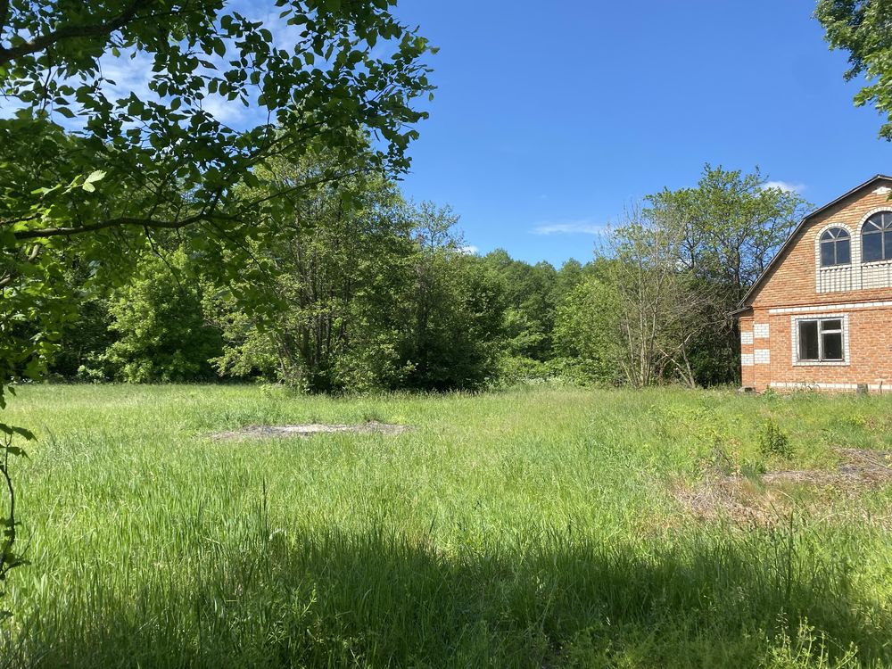 Image 12