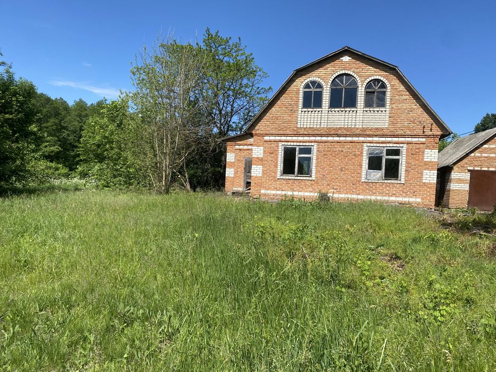Image 13