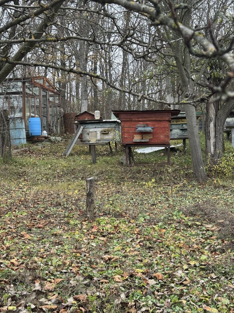 Image 13