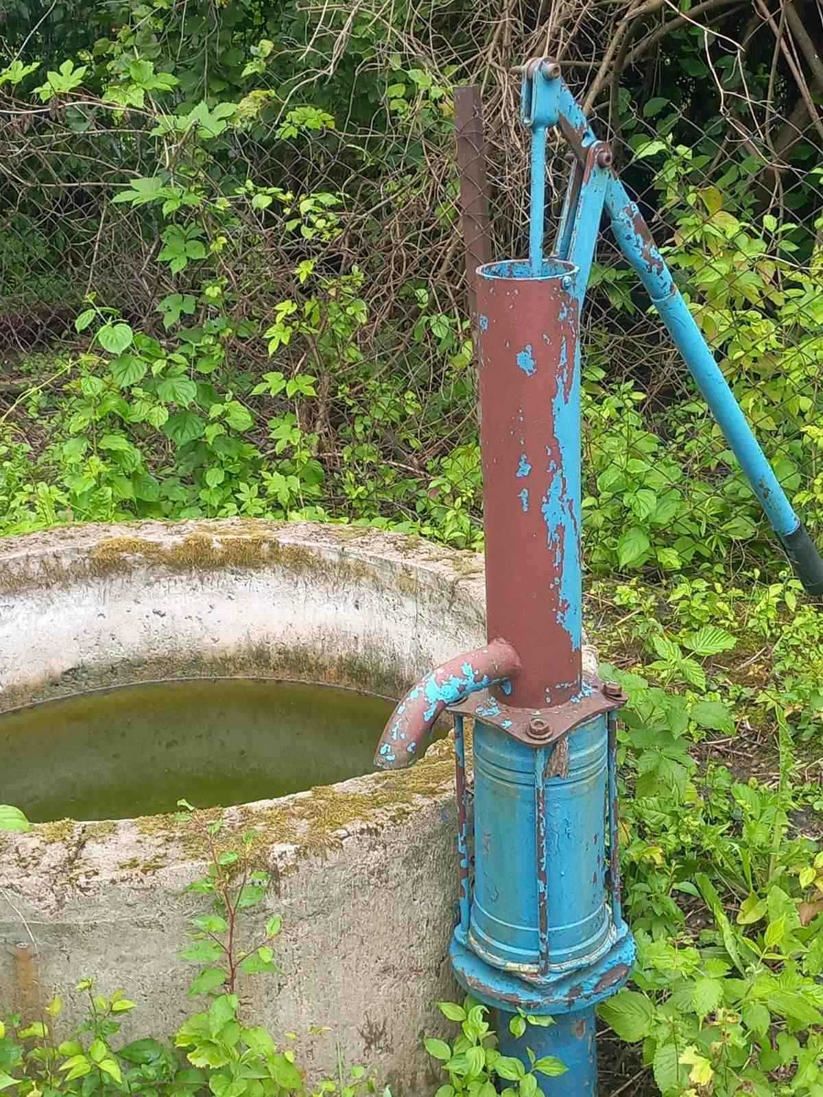 Image 8