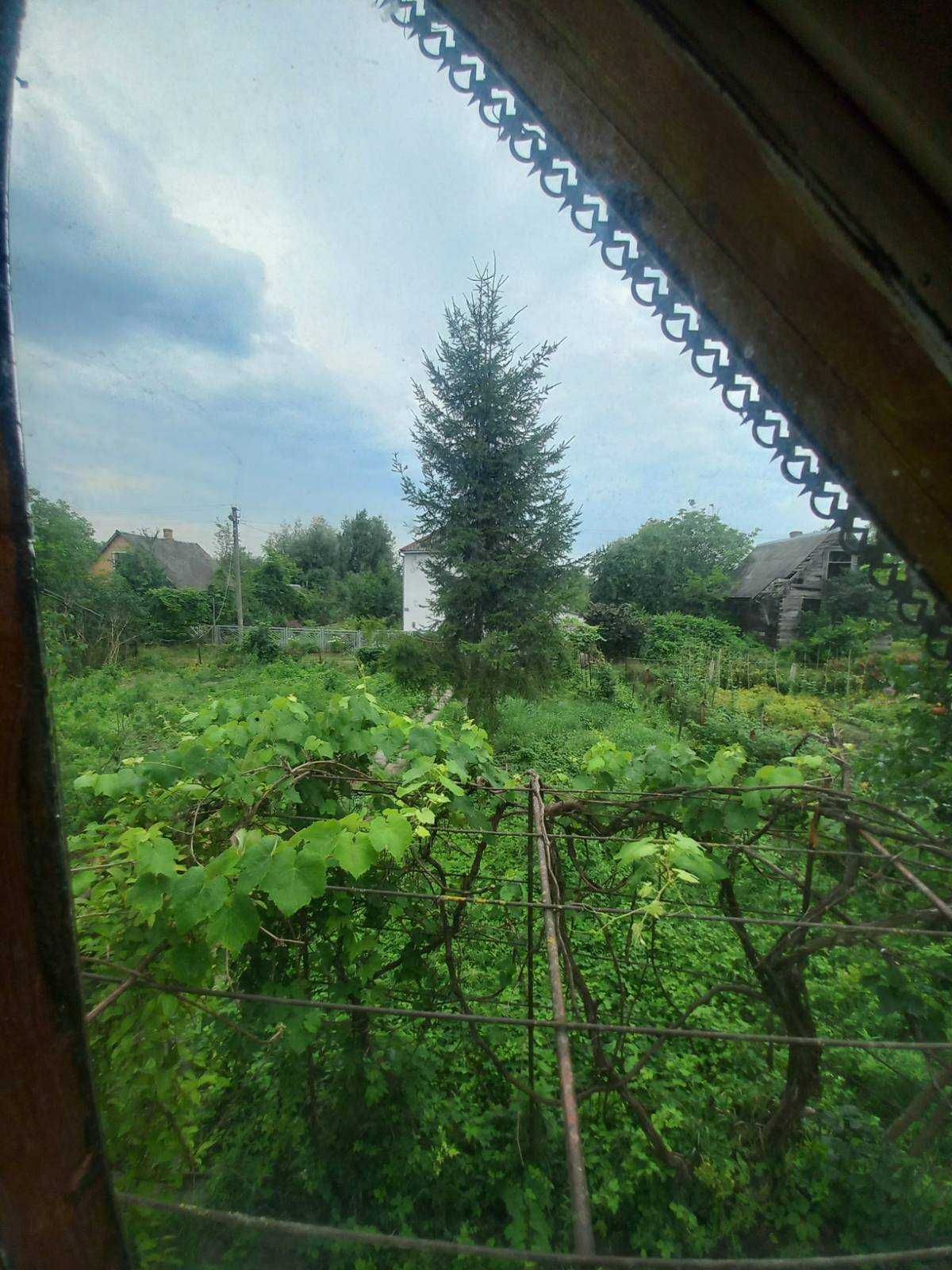 Image 15