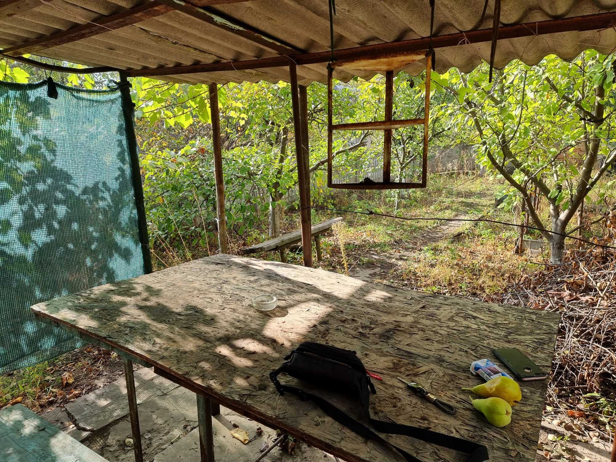 Image 10