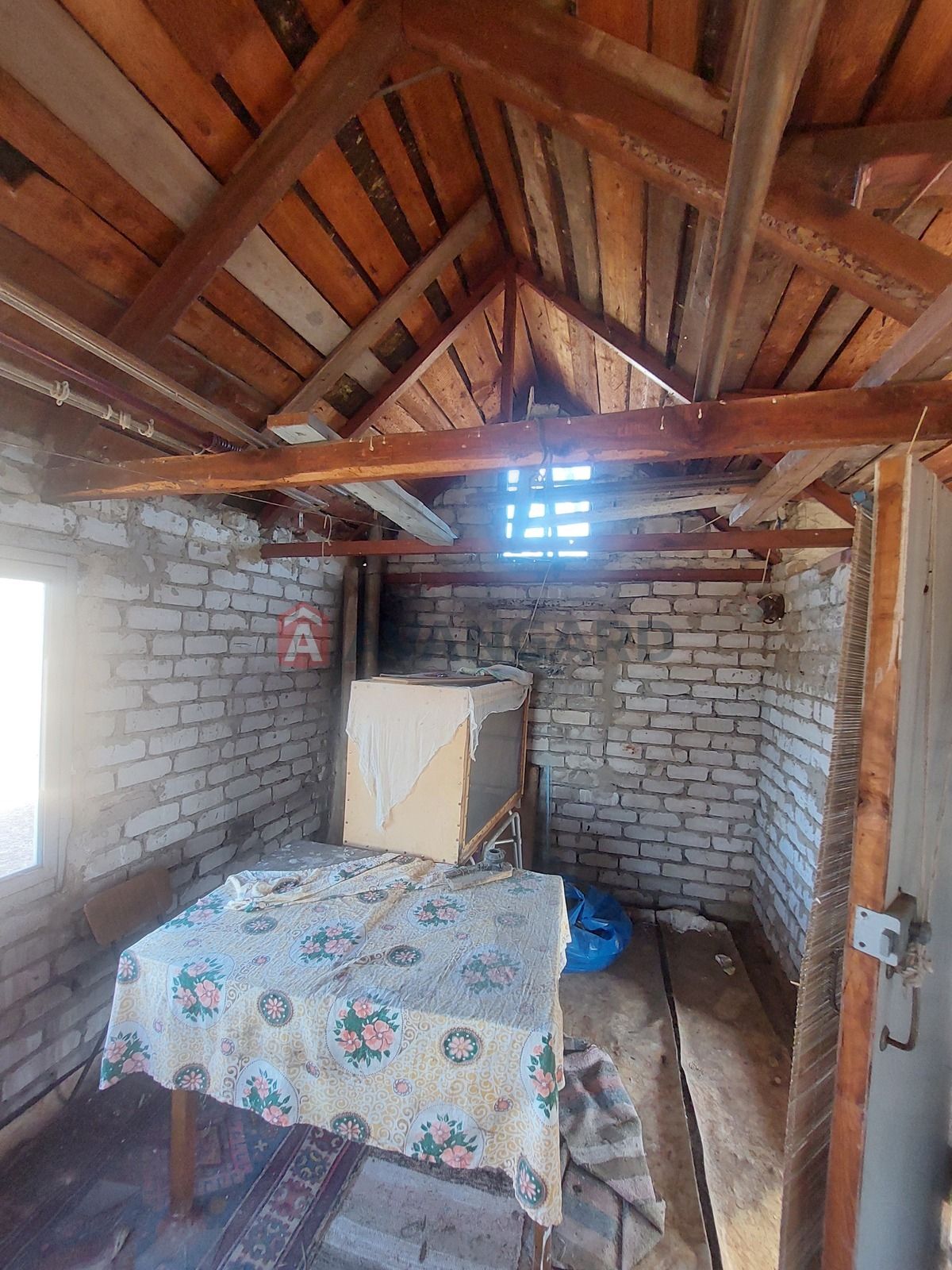 Image 15