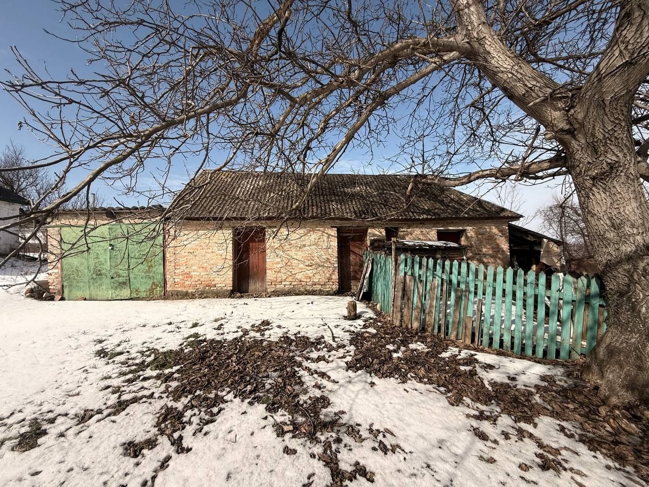 Image 6