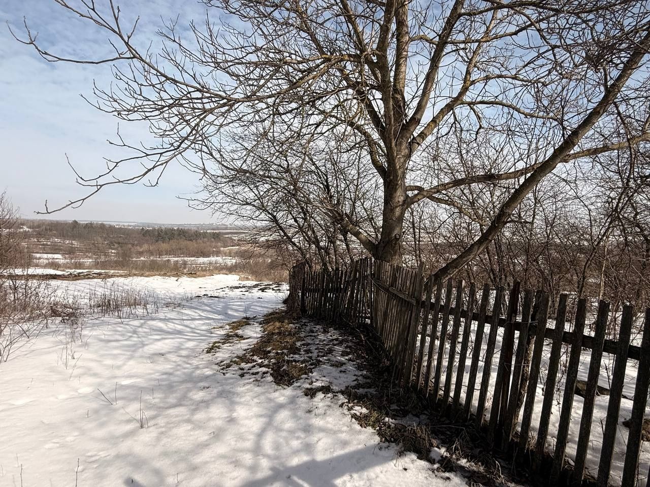 Image 16