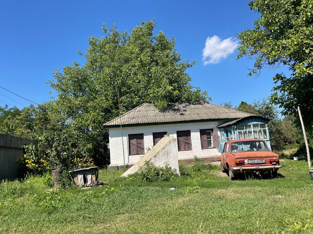Image 10