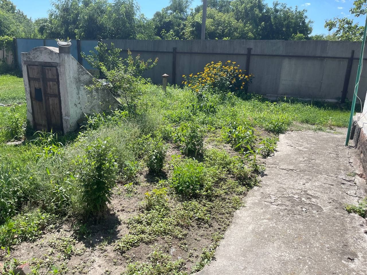 Image 15