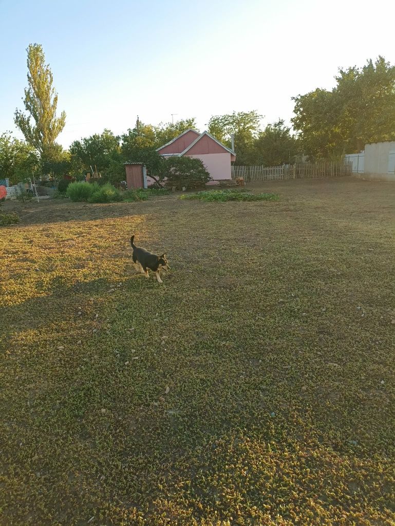 Image 14
