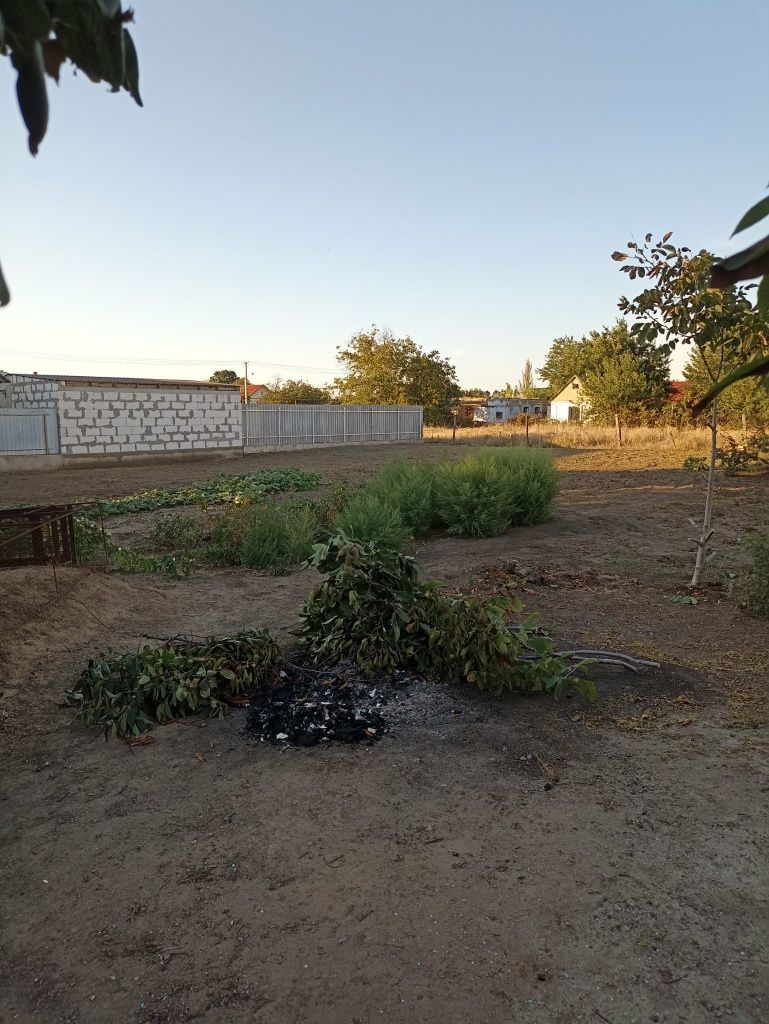 Image 15