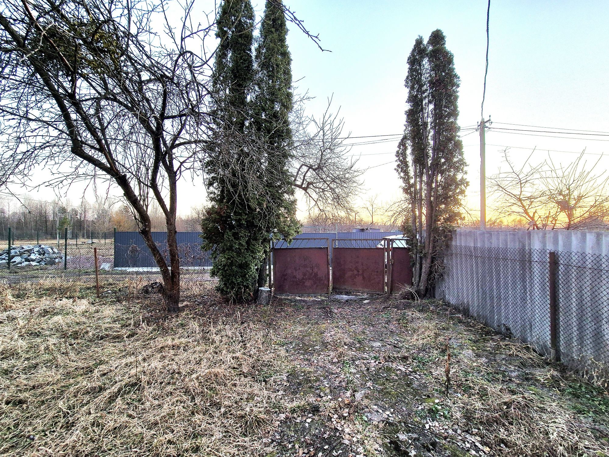 Image 12