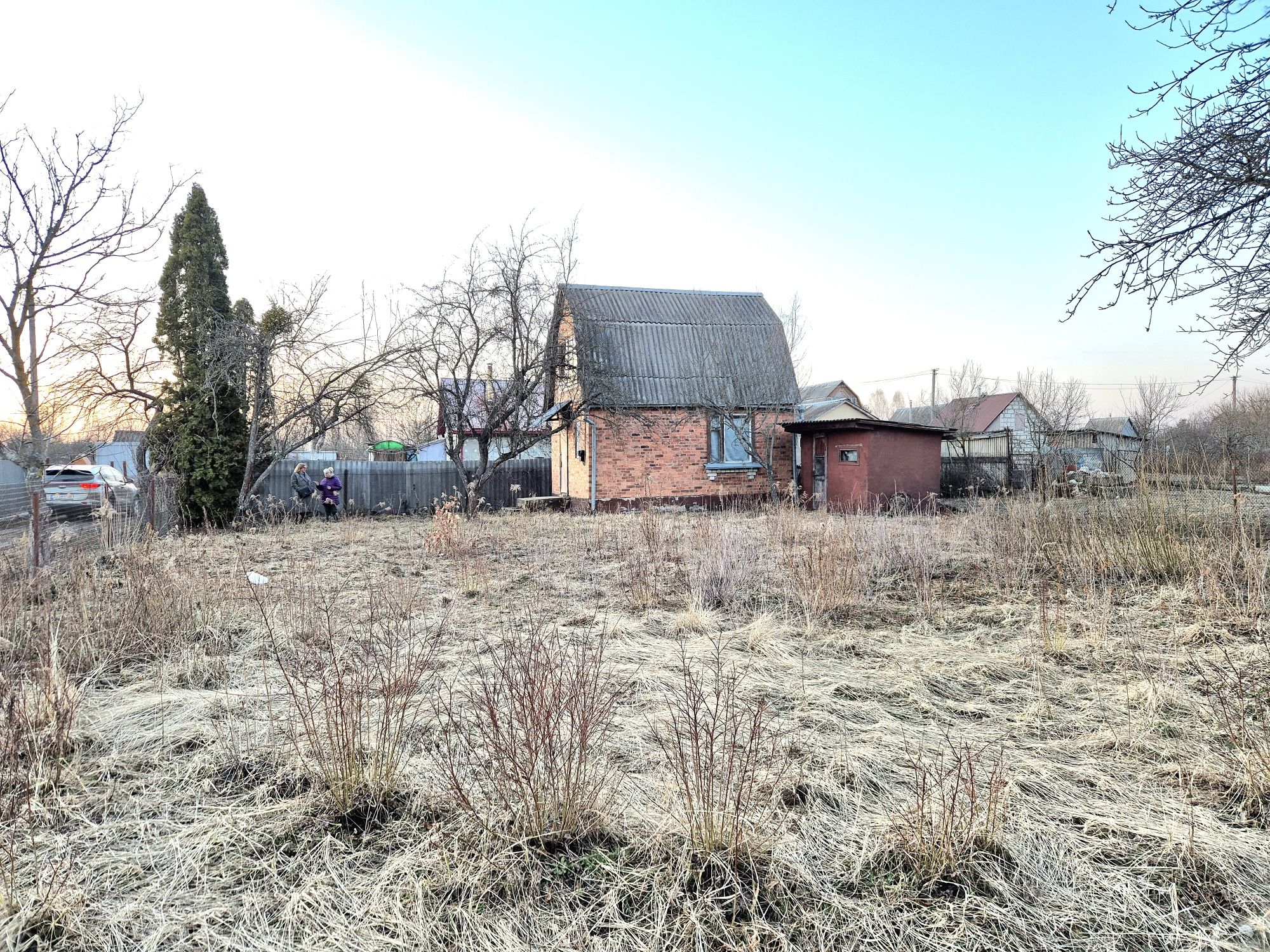 Image 8