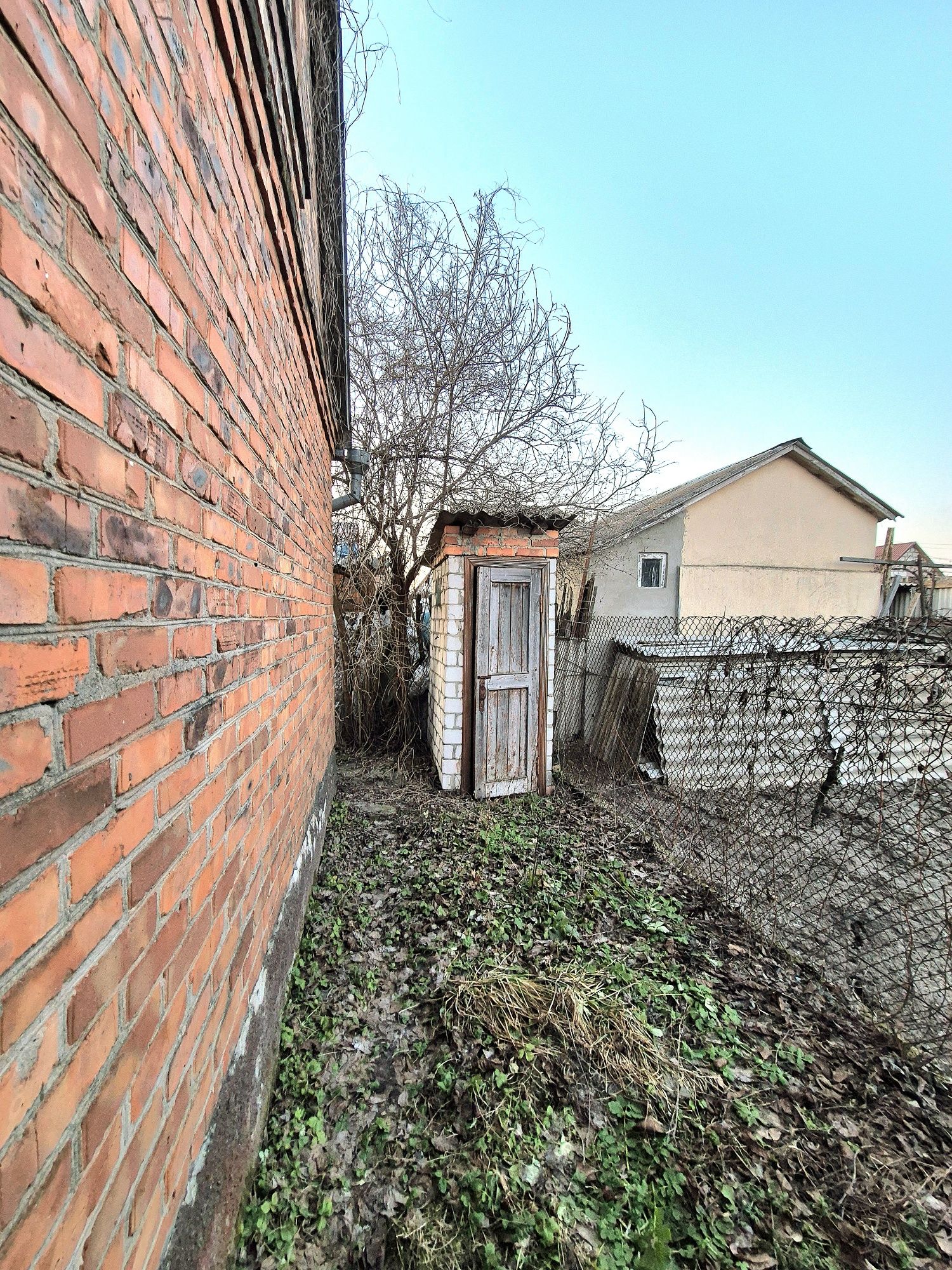 Image 10