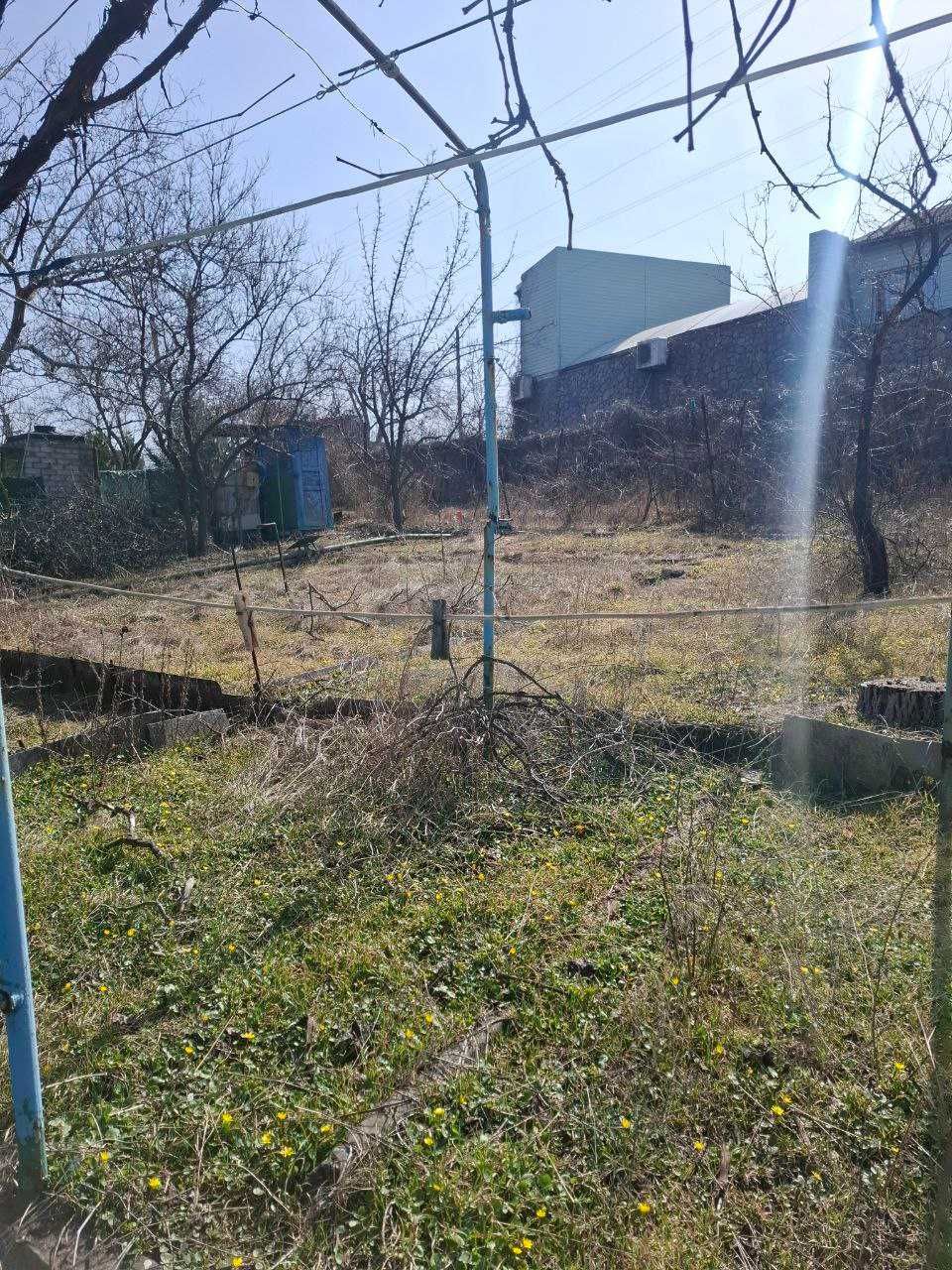 Image 8