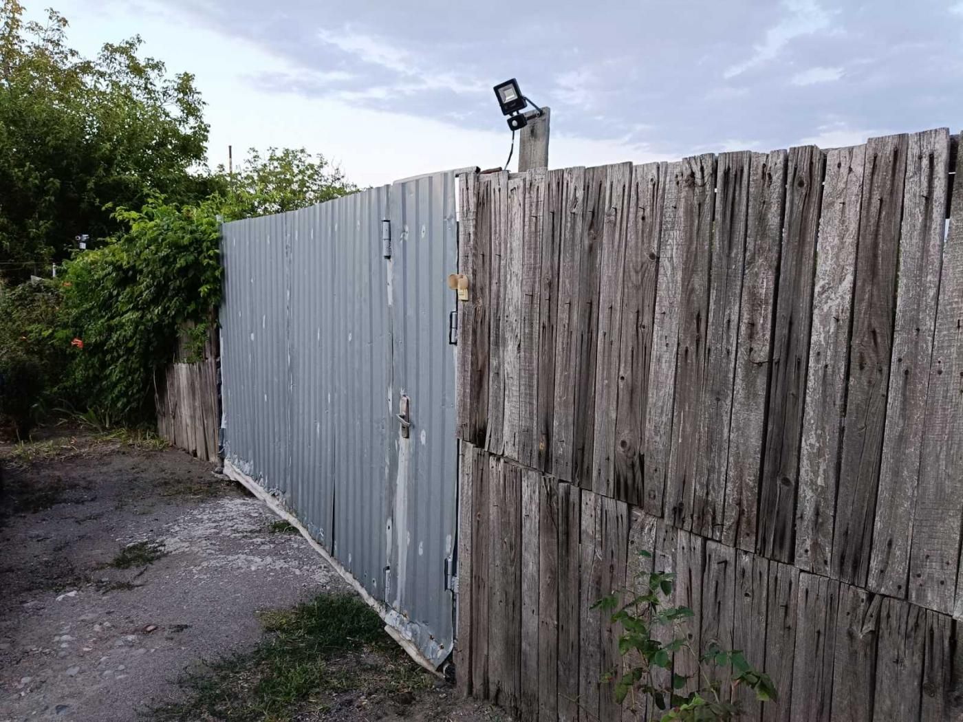 Image 6
