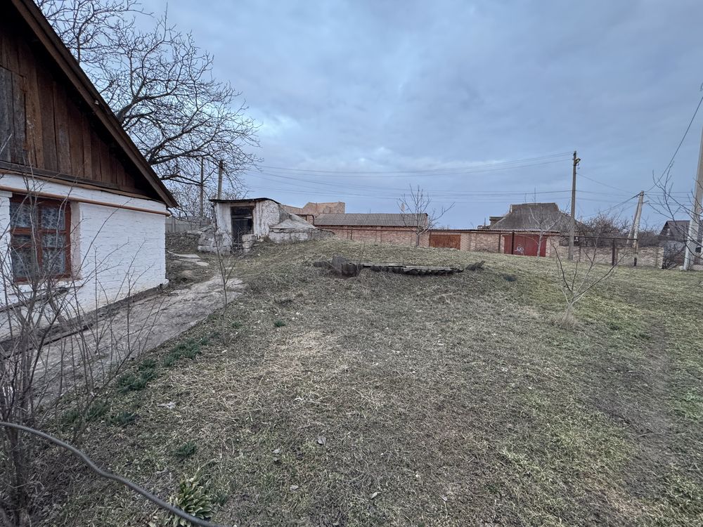 Image 13