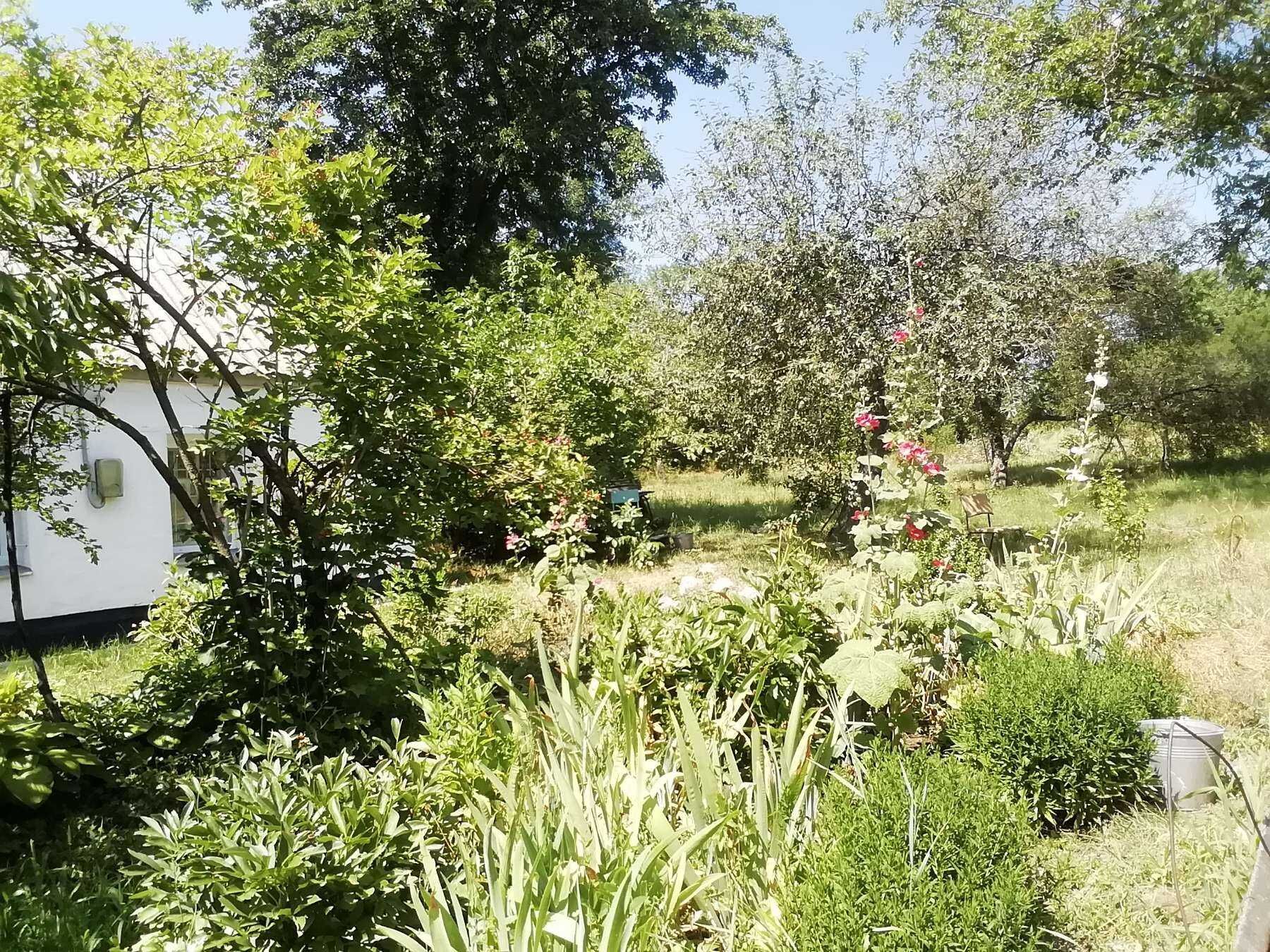 Image 15