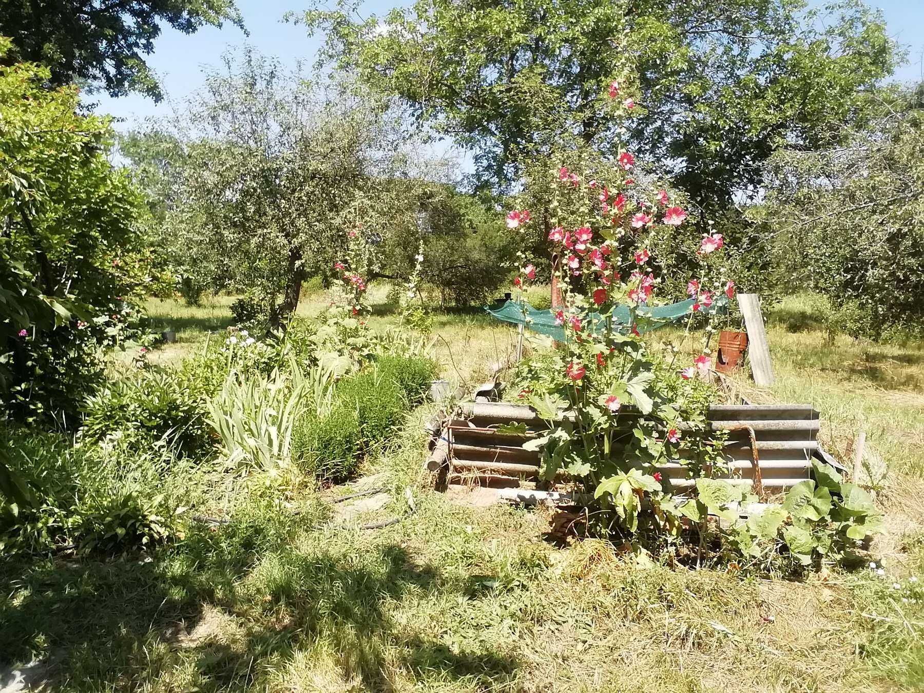 Image 13