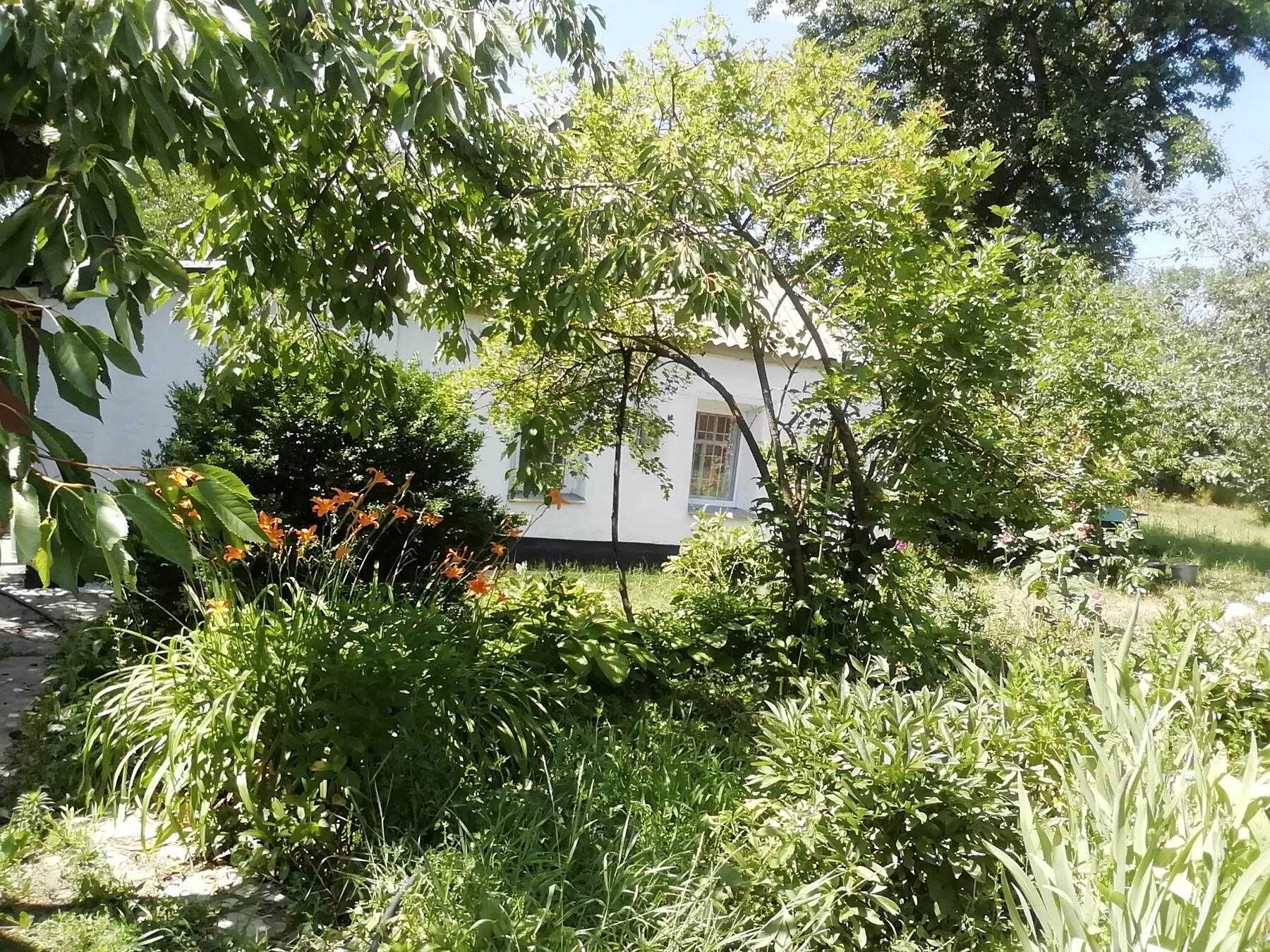 Image 14