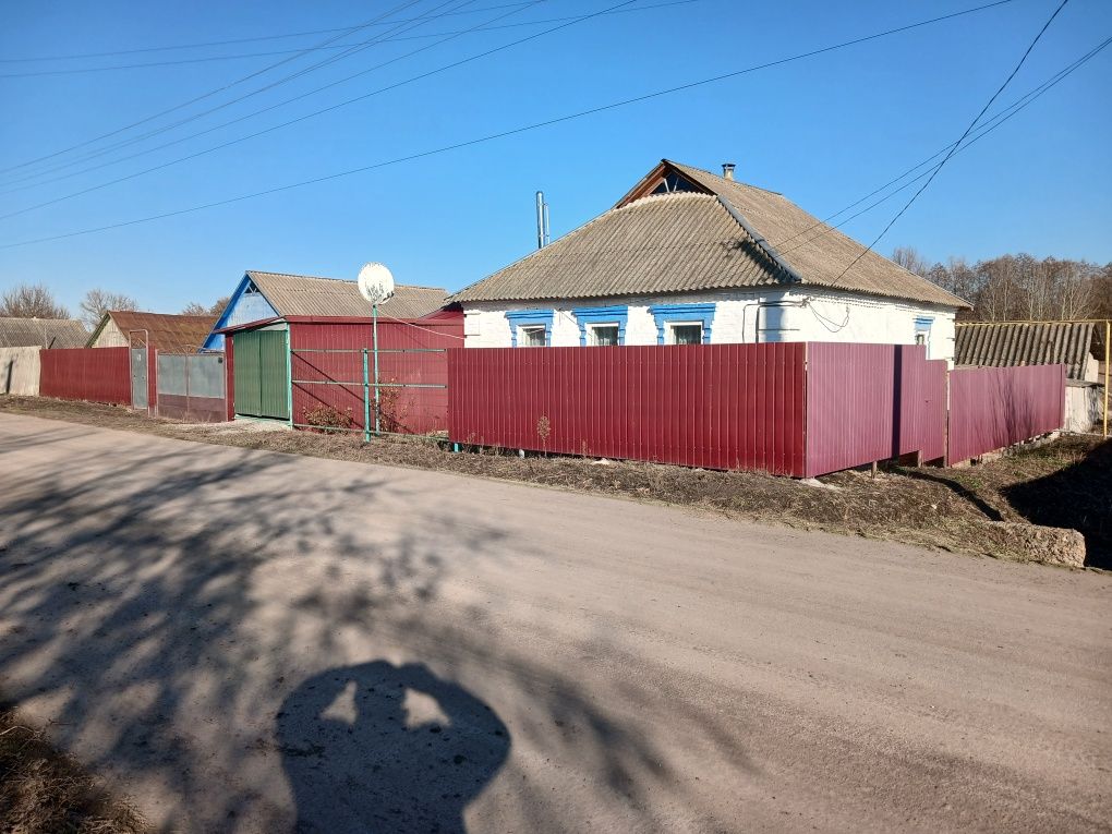 Image 10