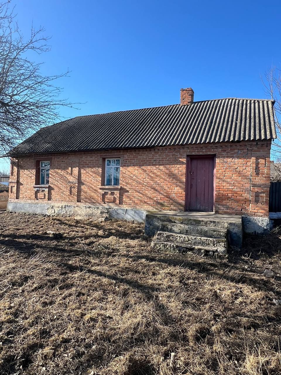 Image 6