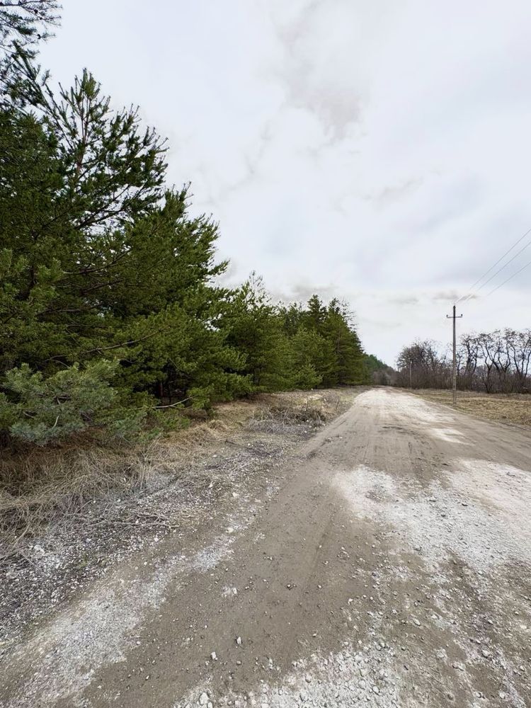 Image 15