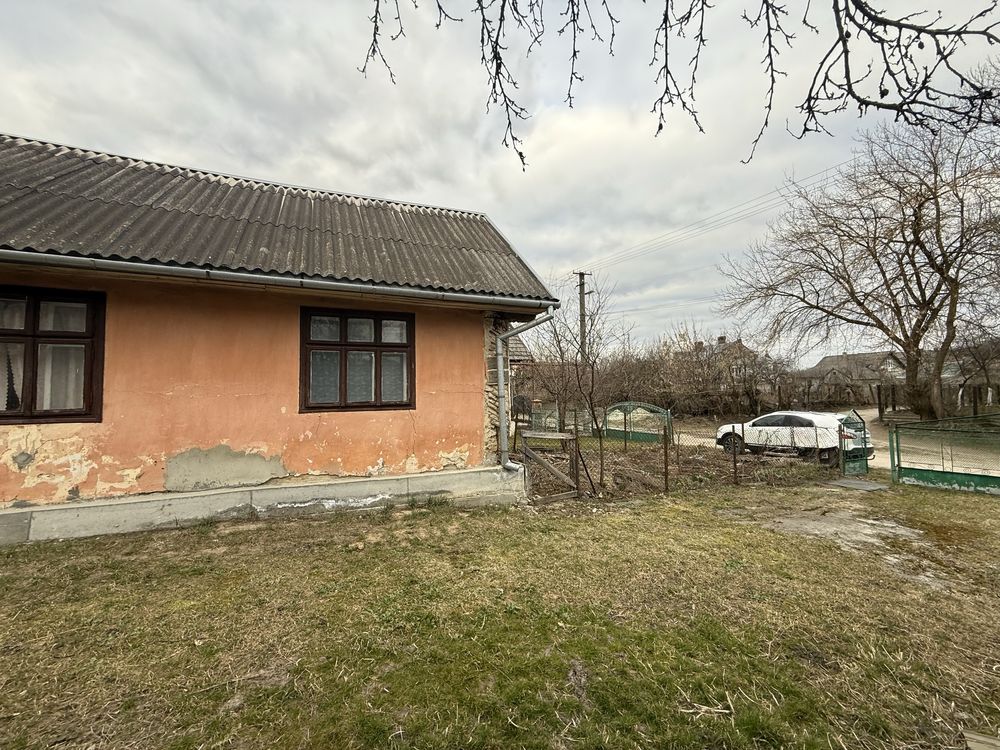 Image 11