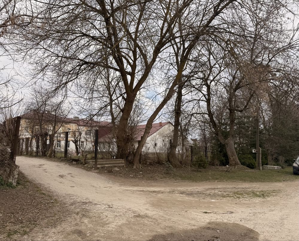 Image 14