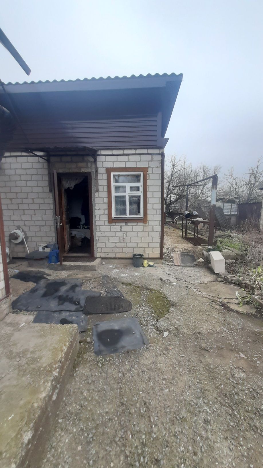 Image 12