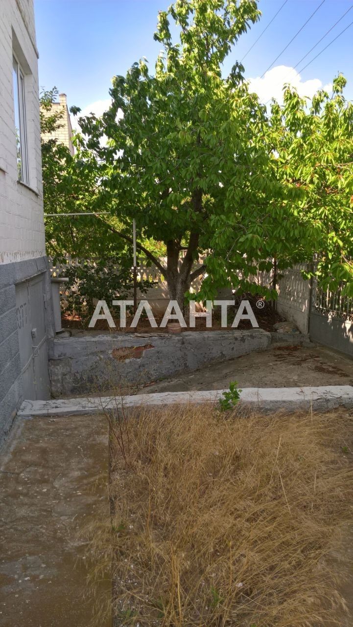 Image 13