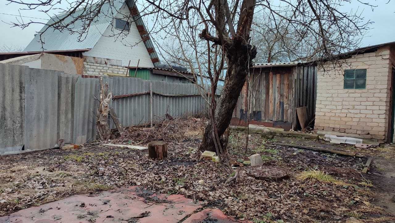 Image 14