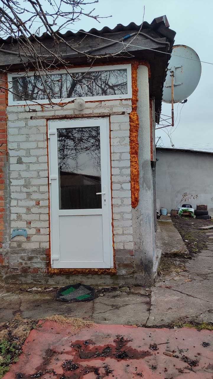 Image 13
