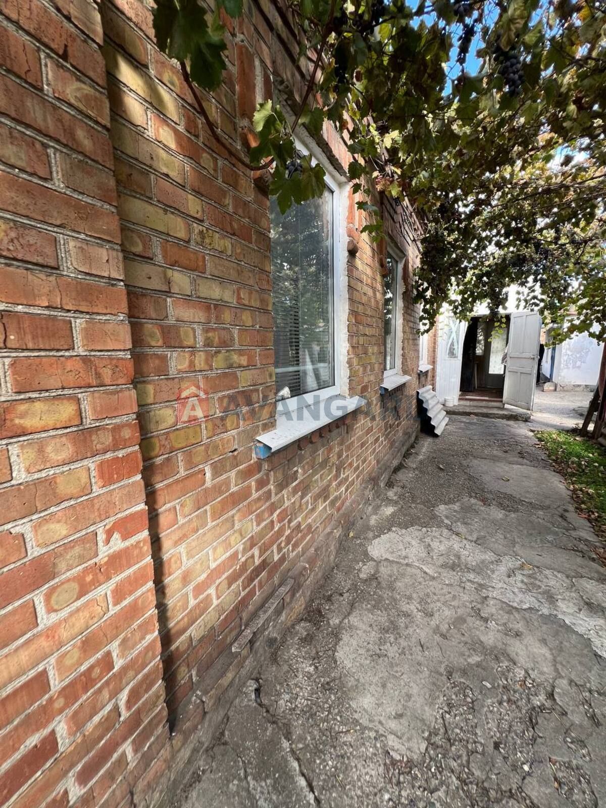 Image 13