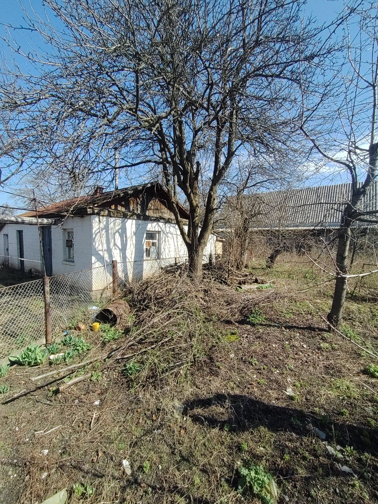 Image 9
