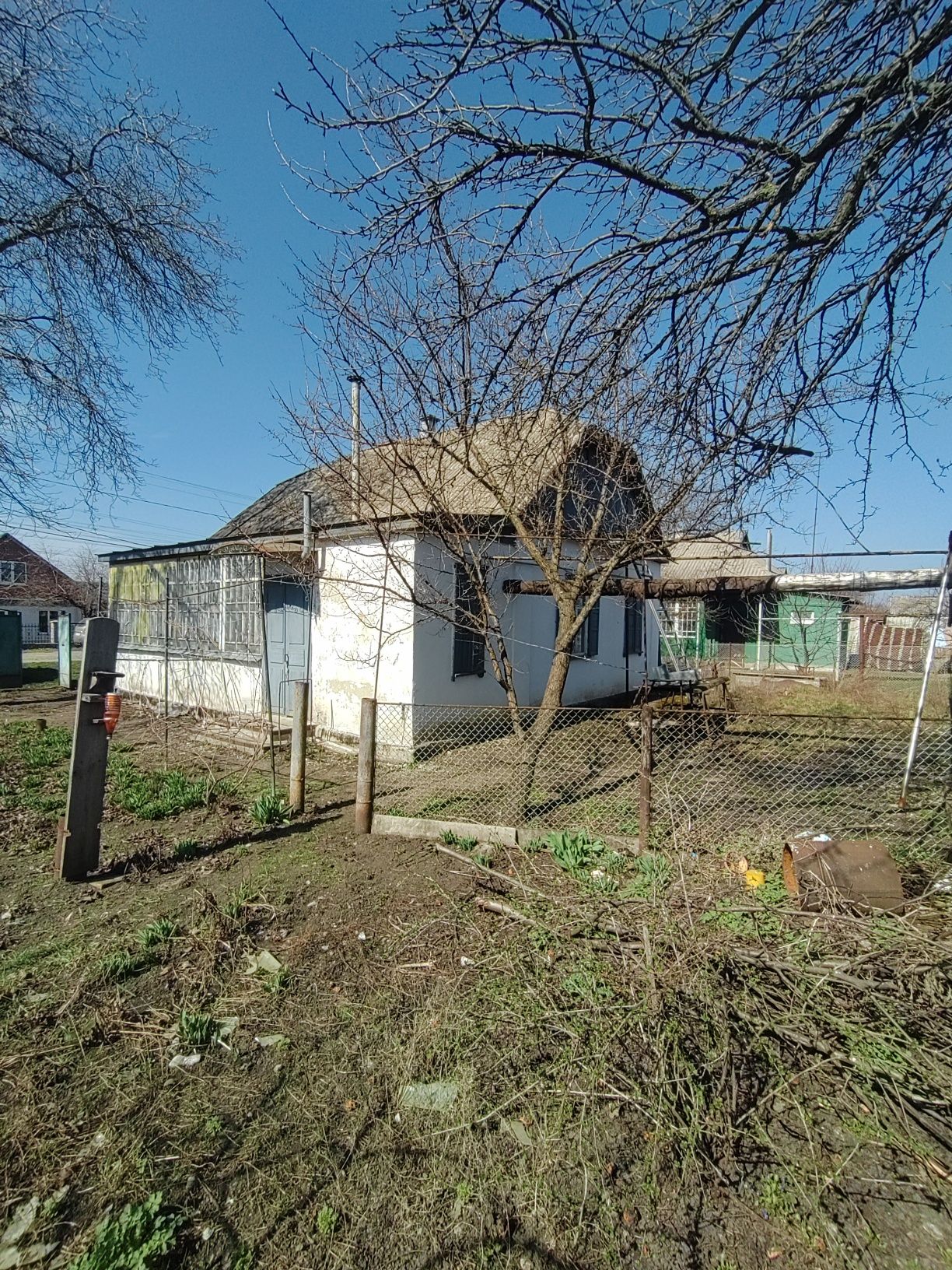 Image 6