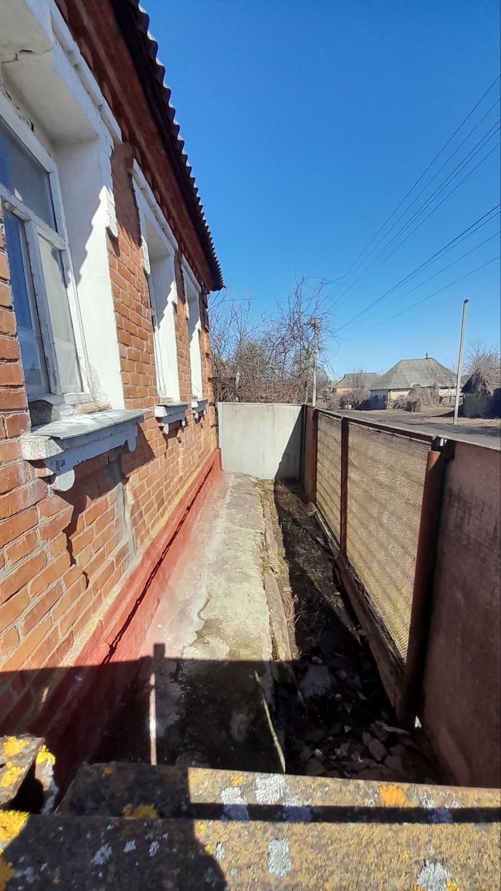 Image 8