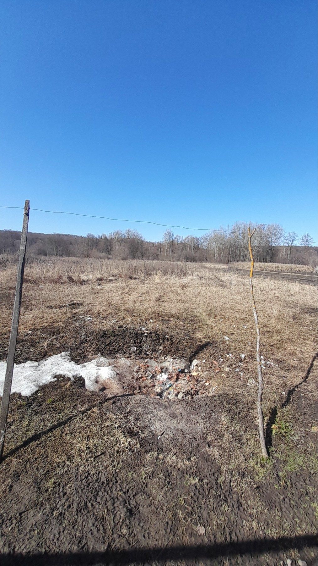 Image 13