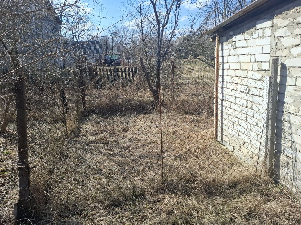 Image 19