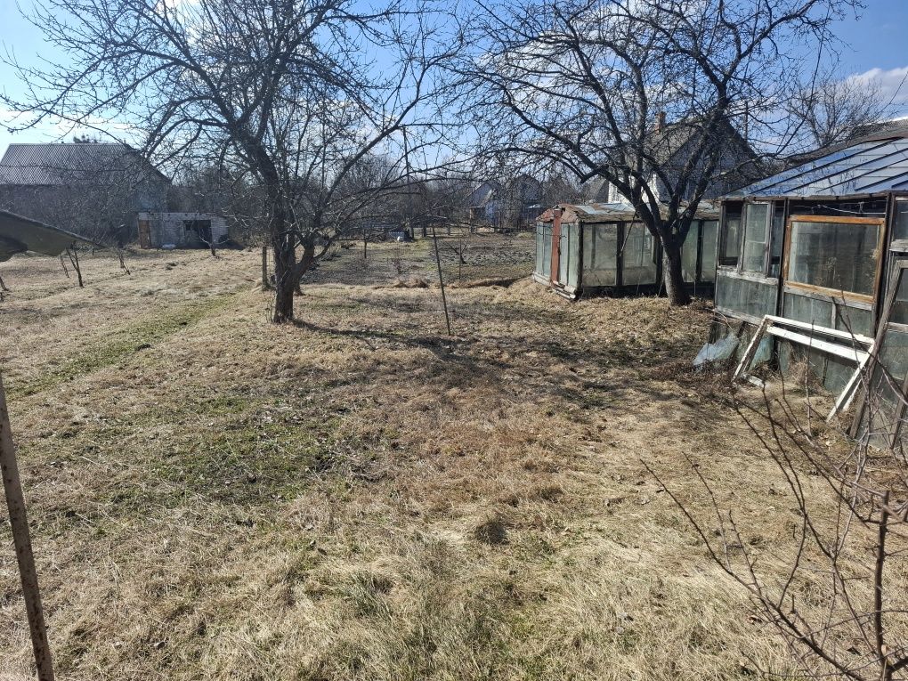 Image 14