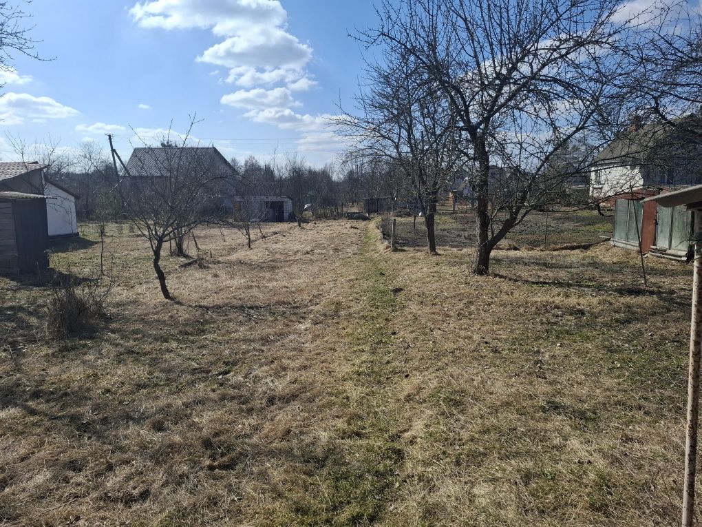 Image 16