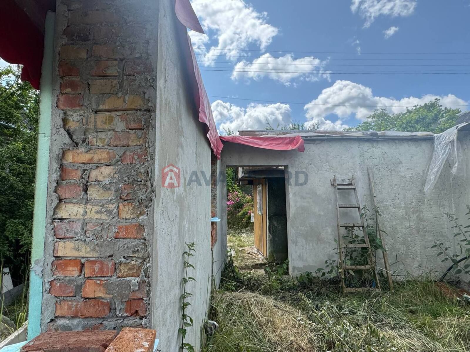 Image 10