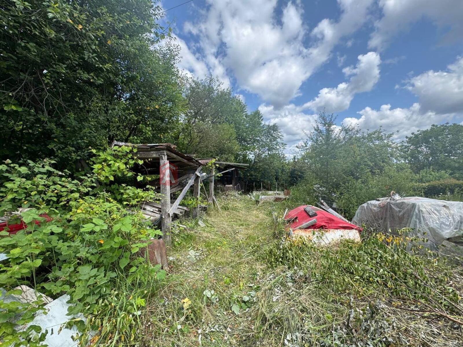 Image 14