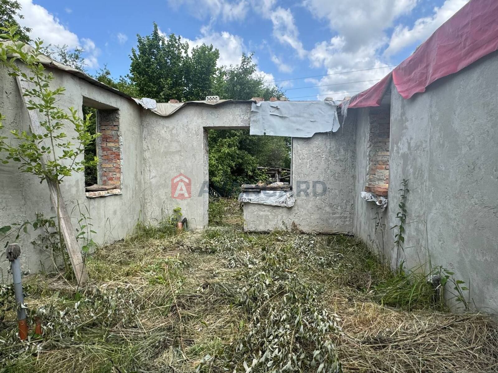 Image 12