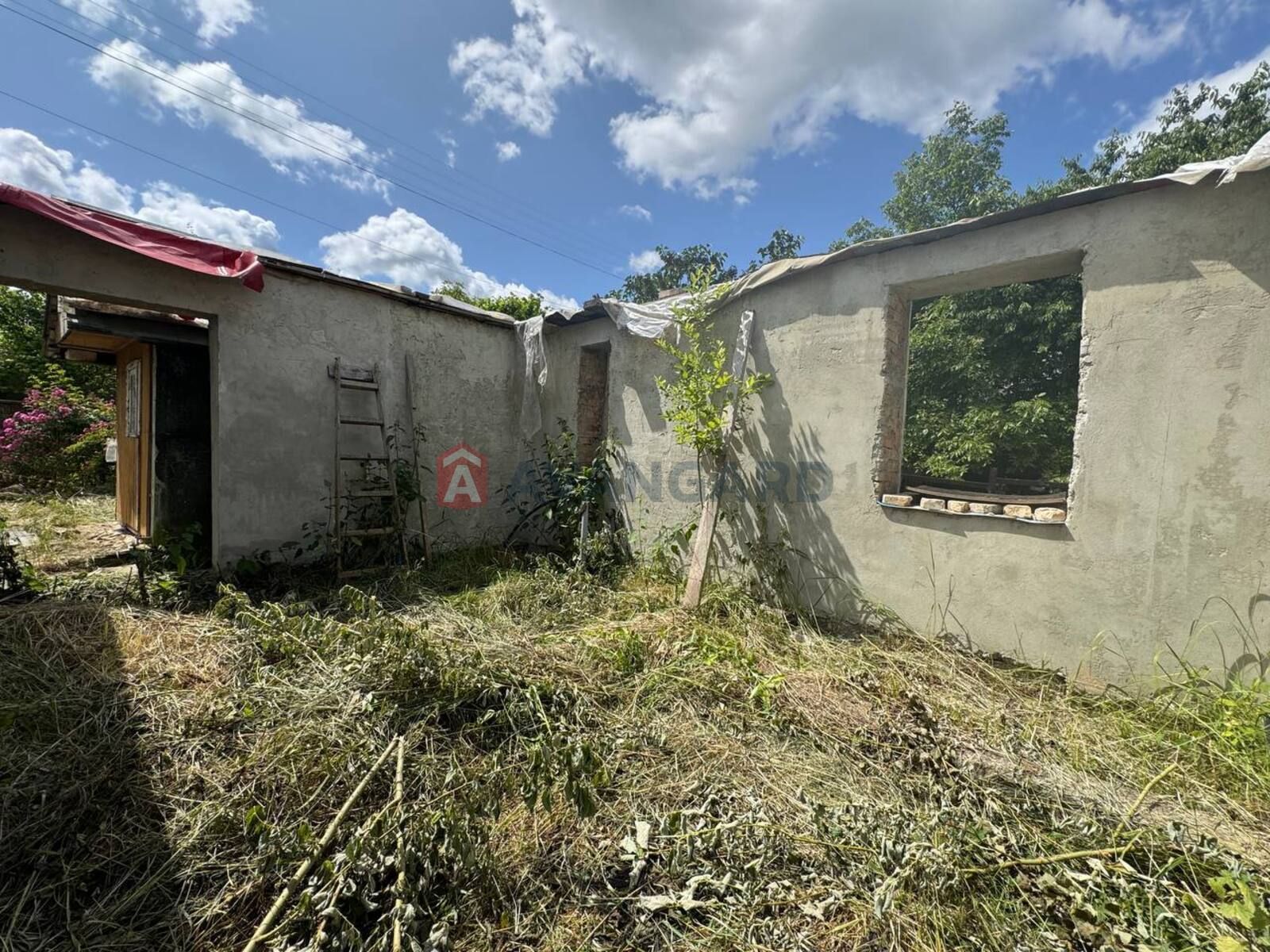 Image 11