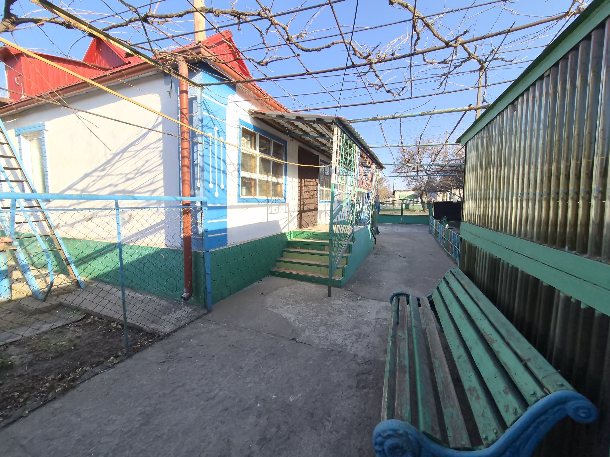 Image 4