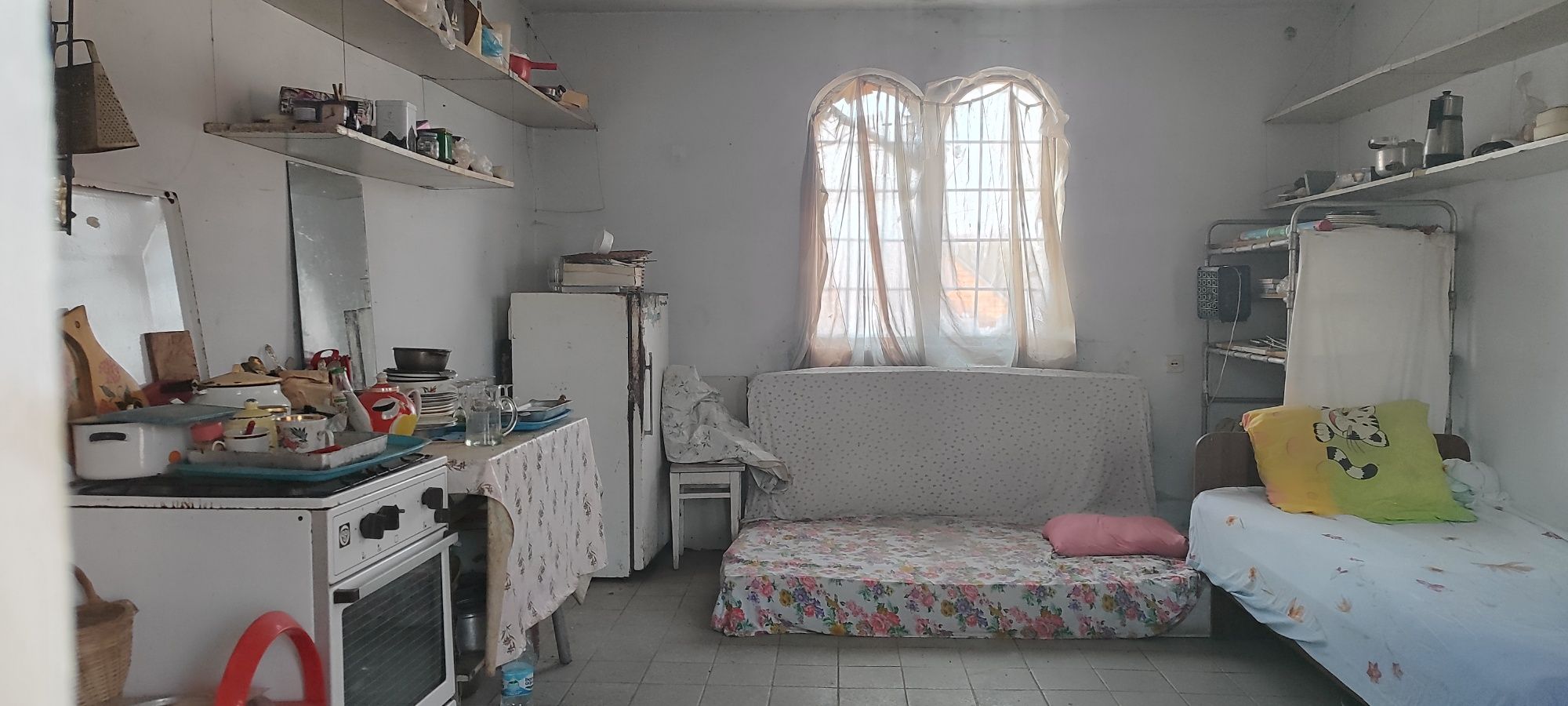 Image 6