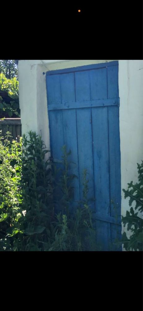 Image 20