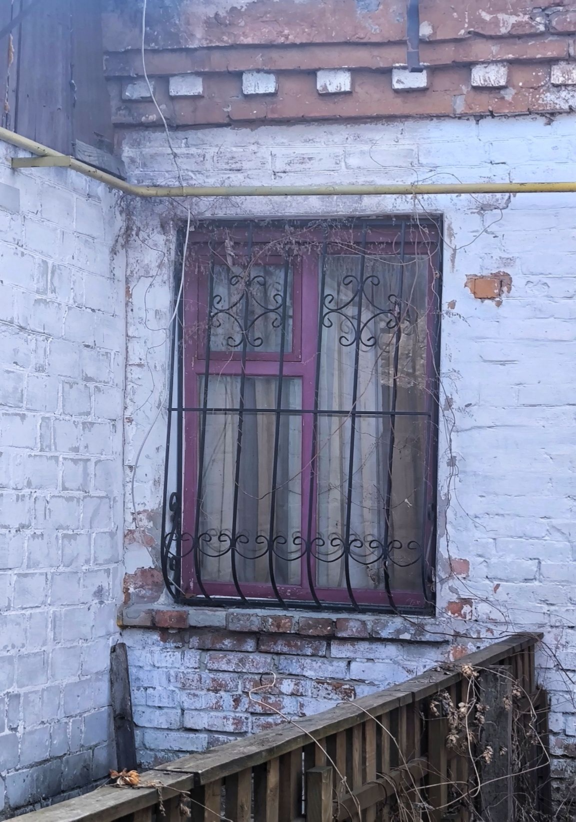Image 16