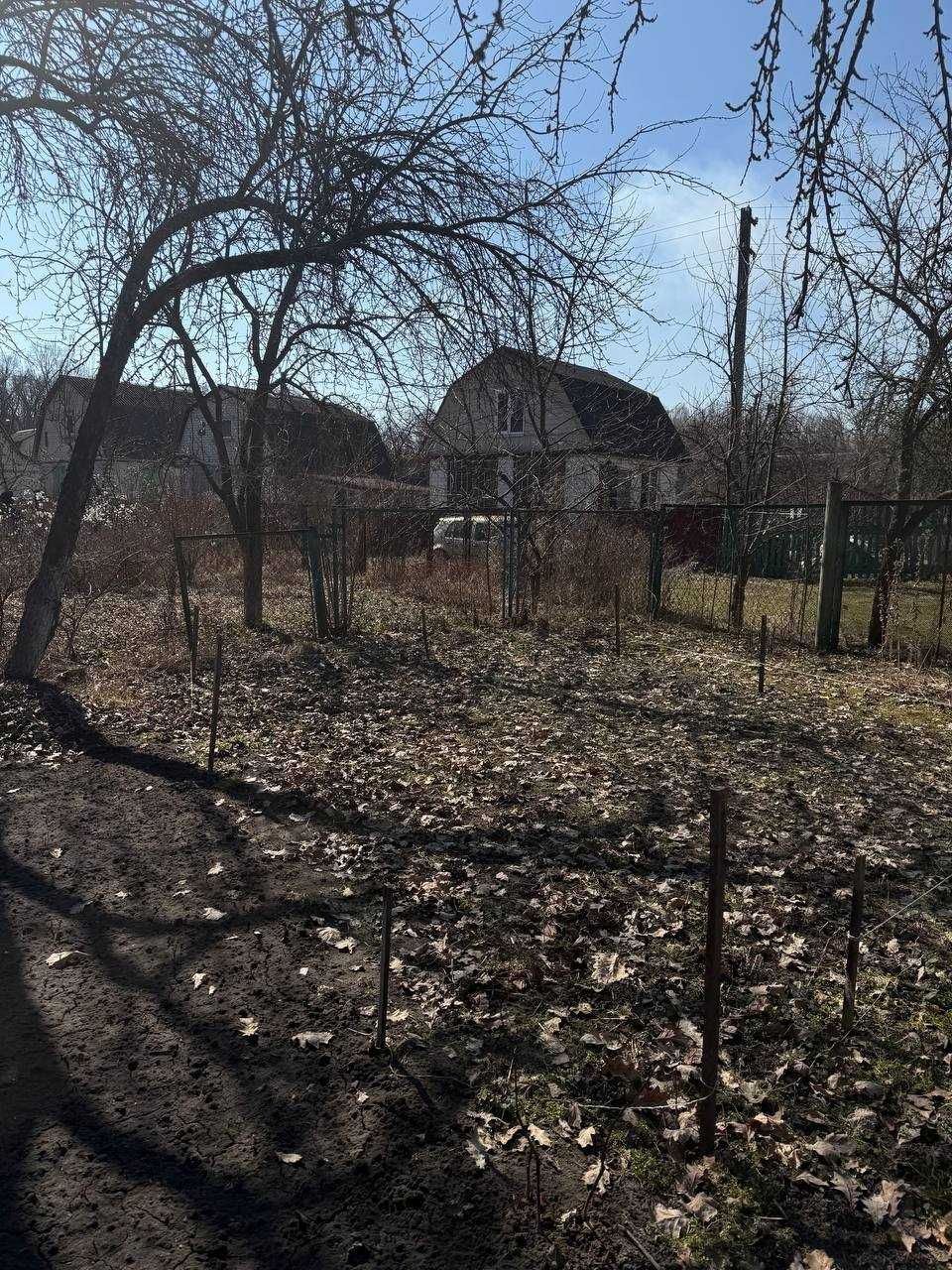 Image 19