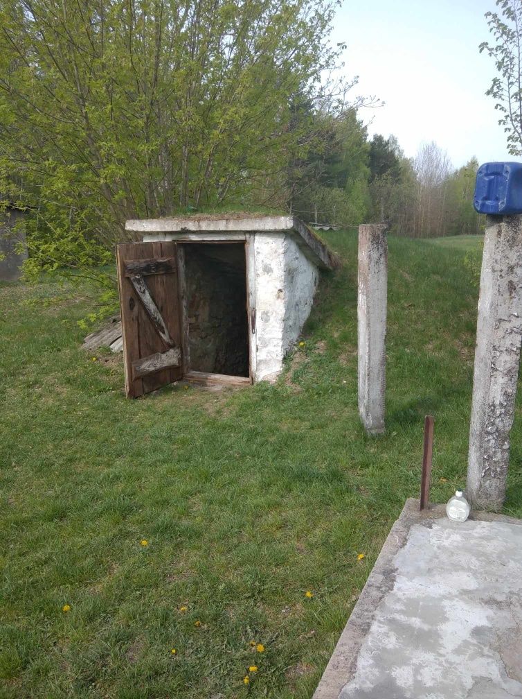 Image 8